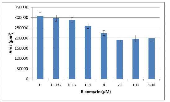 MDA-MB-231 treated with Bleomycin