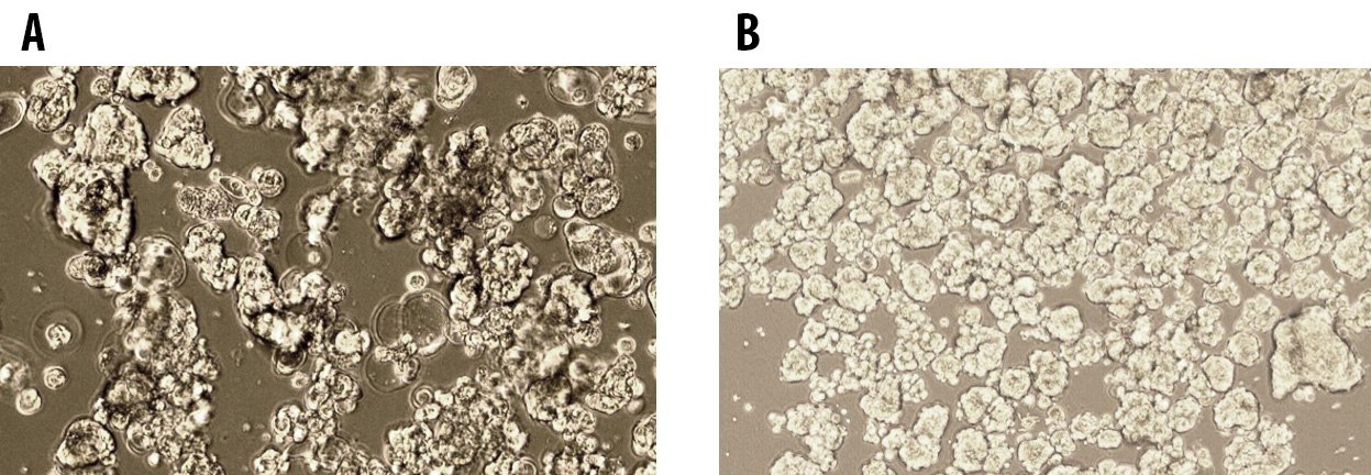 Figure 2 MCF