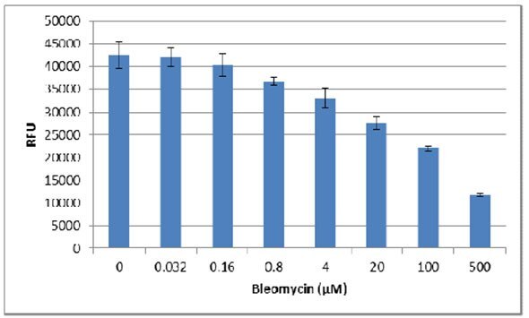 RFU for cells treated with Bleomycin