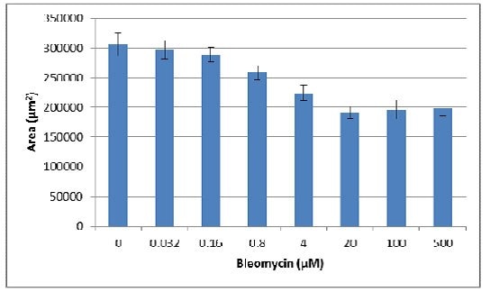 Spheroid bleomycin area