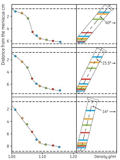 The effect of rotor angle on gradient development