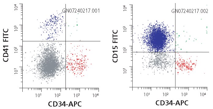 Human hematopoietic stem cell markers analyzed by flow cytometry