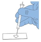 Adding Triacetin solution to acetone cleared filter.