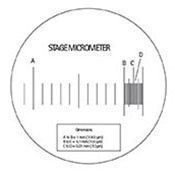 A standard measuring eyepiece (reticle) containing 100 linear graduations.