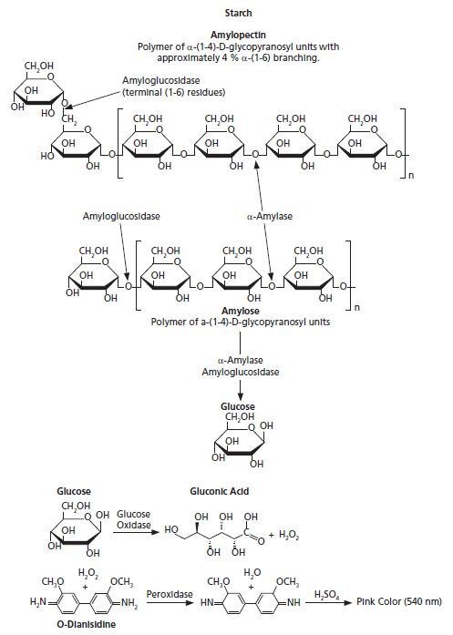 Starch (GO/P) assay kit The hydrolysis of starch to glucose is catalysed