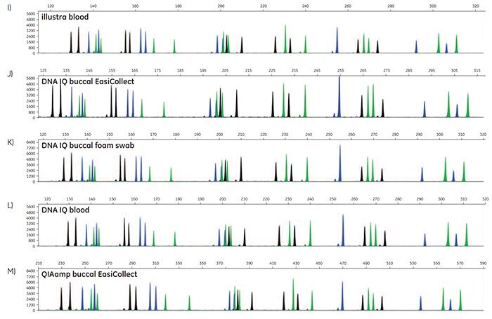 A-O. STR profiles of DNA extracted from FTA cards containing blood or buccal samples