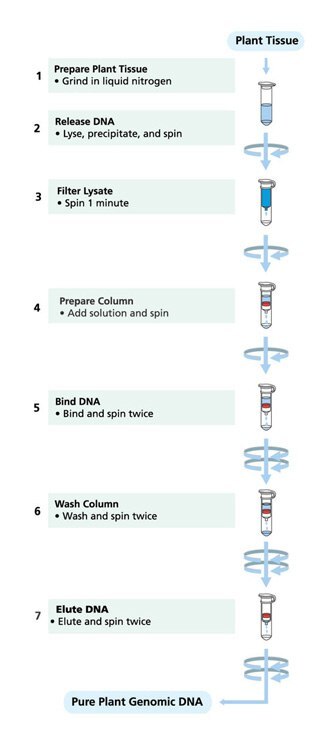 Preheat the Elution Solution