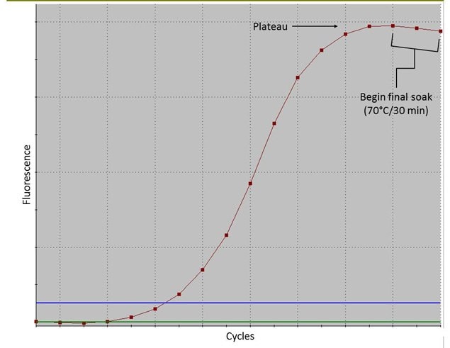 qPCR Slide