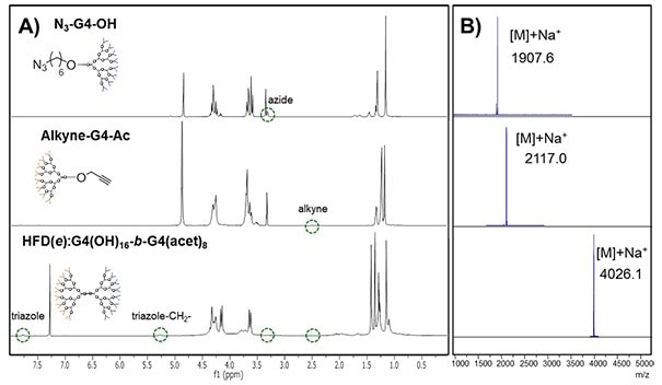 CuAAC coupling of fourth generation dendrons