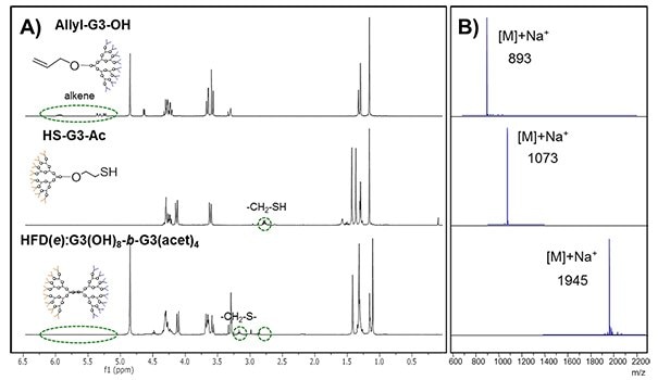 UV-initiated TEC coupling of third generation dendrons 