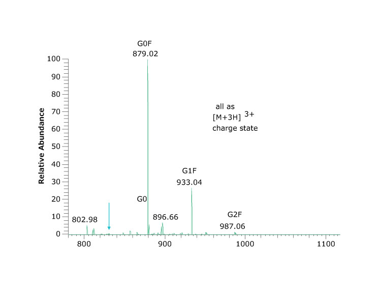 Spectrum (top) and percent abundance (bottom) of glycans found at asparagine N301