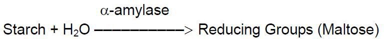 Alpha-Amylase