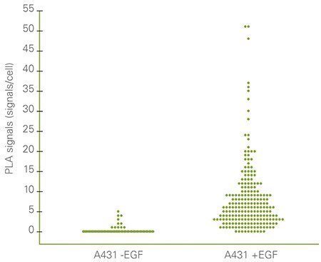 Single cell statistical analysis