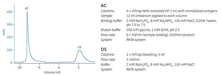 Elution of puriﬁed antibody