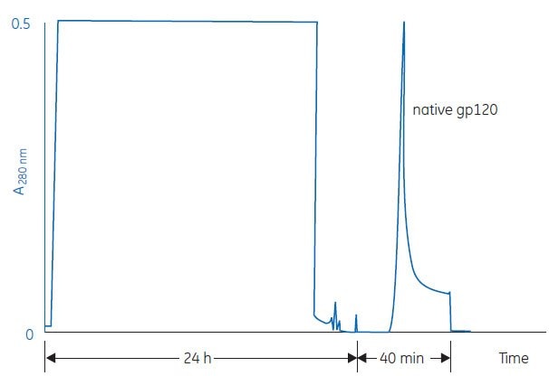 Separation of native gp120 protein