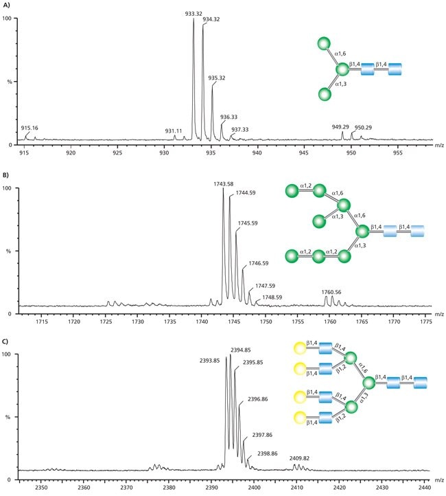 MALDI-TOF MS traces