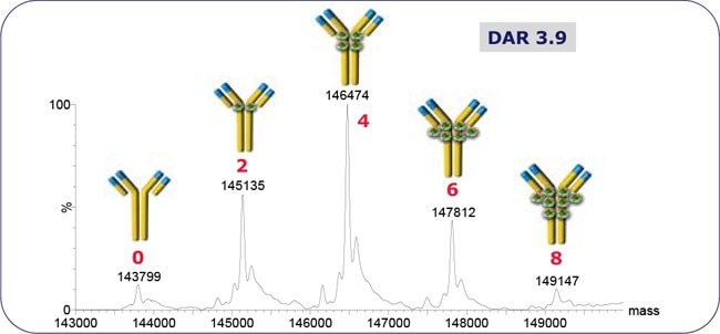 ADC-mimic native SEC-MS spectrum.