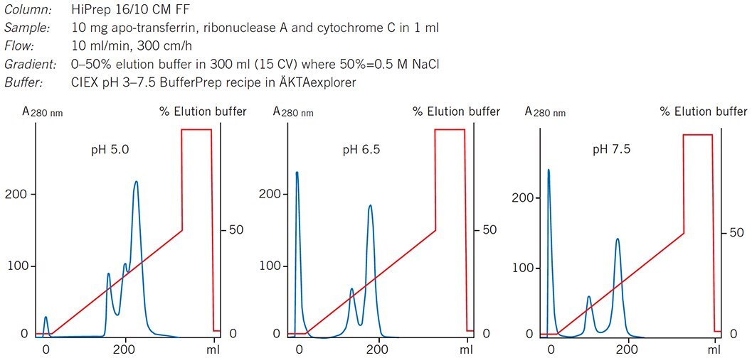 Selecting optimal pH for separation of standard proteins on HiPrep 16/10 CM FF