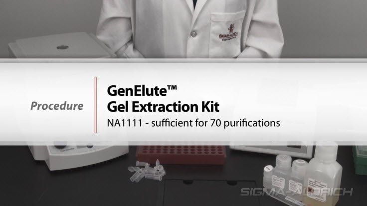 GenElute™ Gel Extraction Procedure