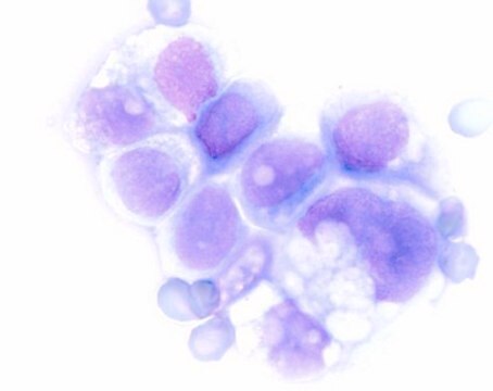 Hemacolor&#174; Rapid staining of blood smear Solution 3: colour reagent blue