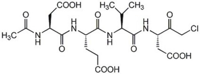 Caspase-3 Inhibitor III The Caspase-3 Inhibitor III, also referenced under CAS 285570-60-7, controls the biological activity of Caspase-3. This small molecule/inhibitor is primarily used for Cancer applications.