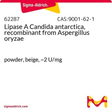 Lipase A Candida antarctica, recombinant from Aspergillus oryzae powder, beige, ~2&#160;U/mg