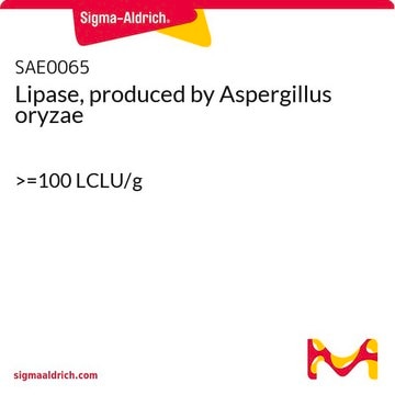 Lipase, produced by Aspergillus oryzae &gt;=100 LCLU/g