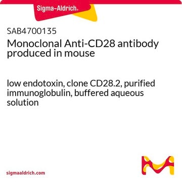 Monoclonal Anti-CD28 antibody produced in mouse low endotoxin, clone CD28.2, purified immunoglobulin, buffered aqueous solution