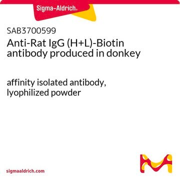 Anti-Rat IgG (H+L)-Biotin antibody produced in donkey affinity isolated antibody, lyophilized powder