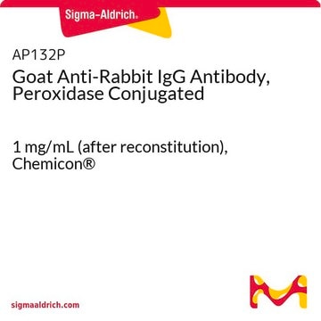 Goat Anti-Rabbit IgG Antibody, Peroxidase Conjugated 1&#160;mg/mL (after reconstitution), Chemicon&#174;