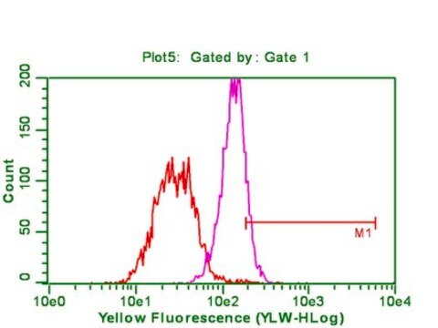 Anti-phospho-Akt (Ser473) Antibody, clone 6F5 clone 6F5, from mouse