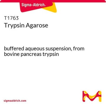 Trypsin Agarose buffered aqueous suspension, from bovine pancreas trypsin