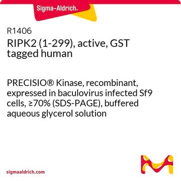 RIPK2 (1-299), active, GST tagged human PRECISIO&#174; Kinase, recombinant, expressed in baculovirus infected Sf9 cells, &#8805;70% (SDS-PAGE), buffered aqueous glycerol solution