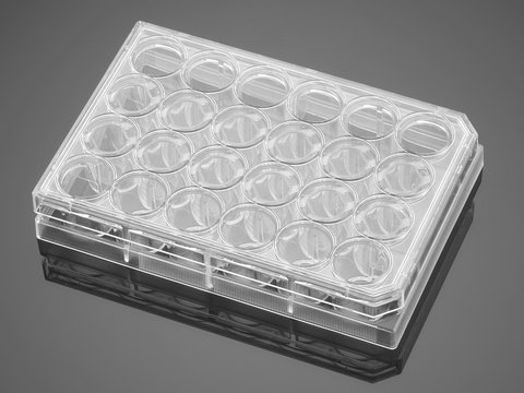 Corning&#174; BioCoat&#8482; Poly-D-Lysine Multiwell Plate flat bottom clear wells, lid