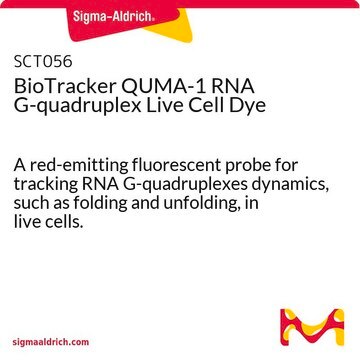 BioTracker QUMA-1 RNA G-quadruplex Live Cell Dye A red-emitting fluorescent probe for tracking RNA G-quadruplexes dynamics, such as folding and unfolding, in live cells.