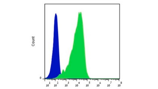 Anti-NKp46 (CD335) Antibody, clone 461-G1 clone 461-G1, from mouse