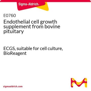 Endothelial cell growth supplement from bovine pituitary ECGS, BioReagent, suitable for cell culture