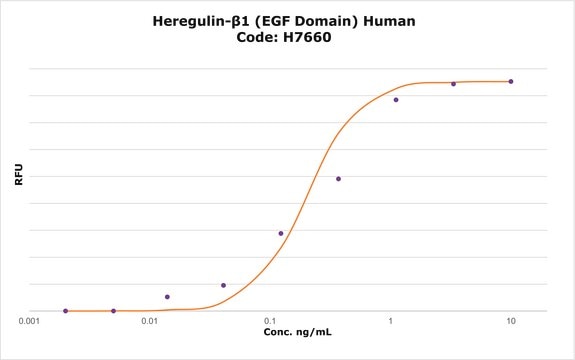 Heregulin-&#946;1 (EGF Domain) human &#8805;98% (SDS-PAGE), recombinant, expressed in E. coli, lyophilized powder