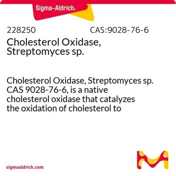 Cholesterol Oxidase, Streptomyces sp. Cholesterol Oxidase, Streptomyces sp. CAS 9028-76-6, is a native cholesterol oxidase that catalyzes the oxidation of cholesterol to cholesterone and hydrogen peroxide.