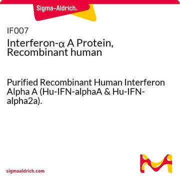 Interferon-&#945; A Protein, Recombinant human Purified Recombinant Human Interferon Alpha A (Hu-IFN-alphaA &amp; Hu-IFN-alpha2a).