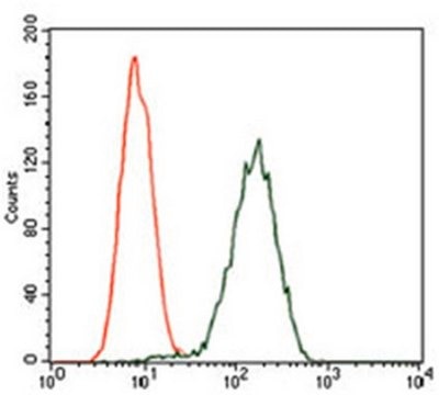 Anti-GPC3 Antibody, clone 9C2 ascites fluid, clone 9C2, from mouse