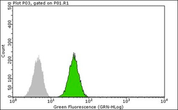 Anti-mTOR Antibody, clone 21D8.2 clone 2ID8.2, from mouse