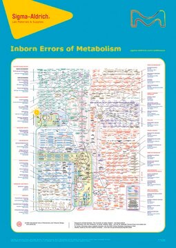 Inborn Errors of Metabolism, 21st ed. Poster, 22 × 27 in.