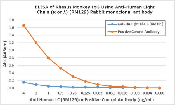 Anti-Human Ig Light Chain antibody, Rabbit monoclonal recombinant, expressed in HEK 293 cells, clone RM129, purified immunoglobulin