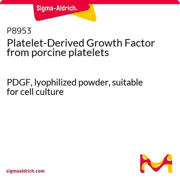 Platelet-Derived Growth Factor from porcine platelets PDGF, lyophilized powder, suitable for cell culture