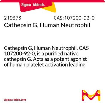 Cathepsin G, Human Neutrophil Cathepsin G, Human Neutrophil, CAS 107200-92-0, is a purified native cathepsin G. Acts as a potent agonist of human platelet activation leading to their aggregation.