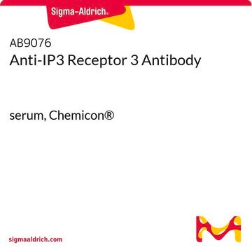 Anti-IP3 Receptor 3 Antibody serum, Chemicon&#174;