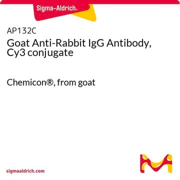 Goat Anti-Rabbit IgG Antibody, Cy3 conjugate Chemicon&#174;, from goat