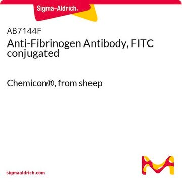 Anti-Fibrinogen Antibody, FITC conjugated Chemicon&#174;, from sheep