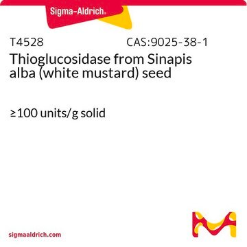 Thioglucosidase from Sinapis alba (white mustard) seed &#8805;100&#160;units/g solid